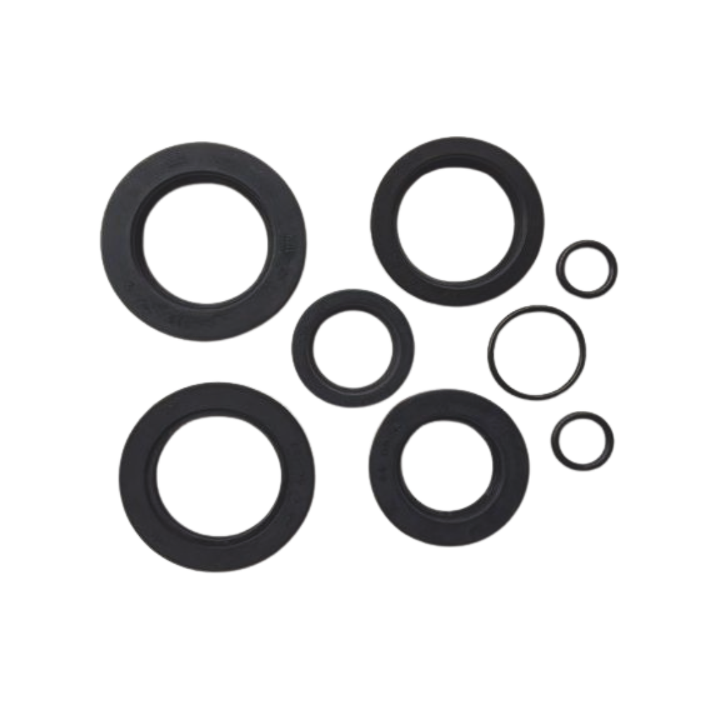 oil-seal-set1