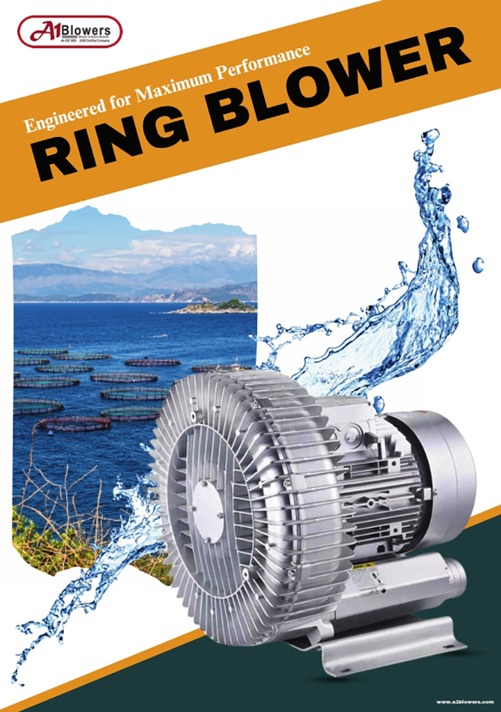 ring blowers catalogue