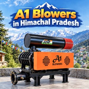 twin lobe blower installation